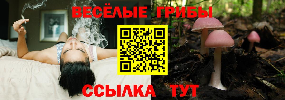 Галлюциногенные грибы Psilocybine cubensis  Вход с VPN  Ипатово 